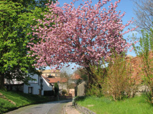 siersleben-augsdorfer-strasse