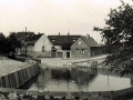 Siersleben-Teich-3